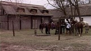 Две горячие служанки трахаются в историческом платье - порно видео